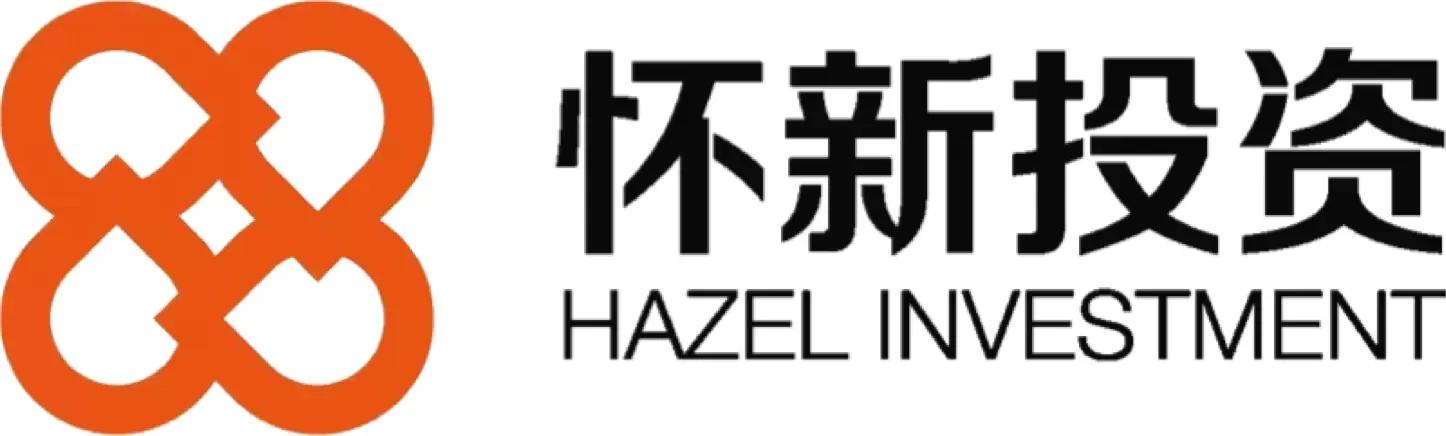 HAZEL INVESTMENT
