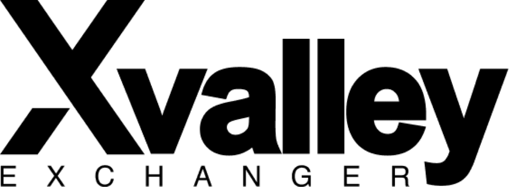 Xvalley Exchanger