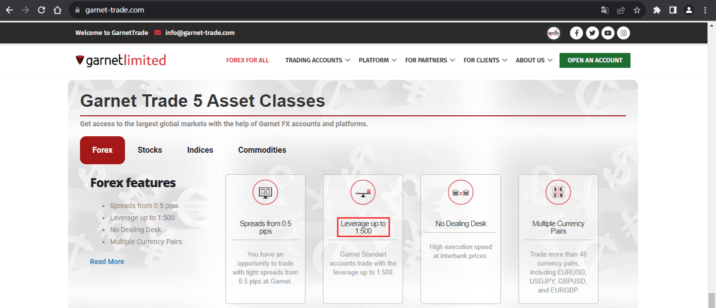 网显示保证金比例信息