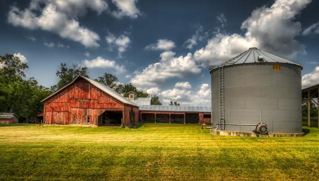 Why haven't logistics issues weakened corn basis resilience amid global trade shifts?