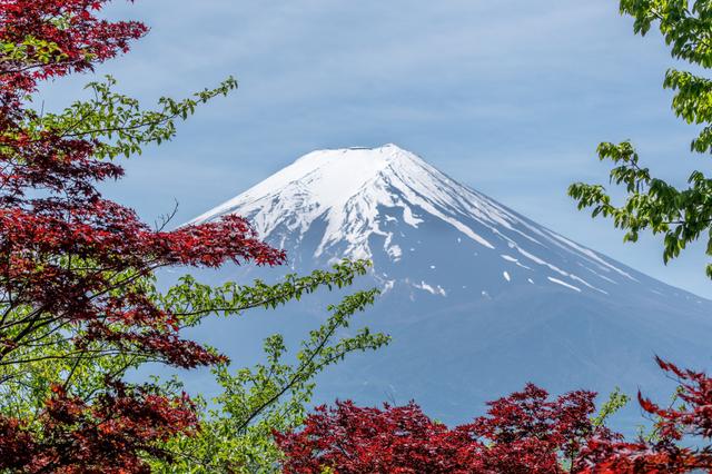 The influx of tourists stimulates the rapid expansion of Japan's service industry.