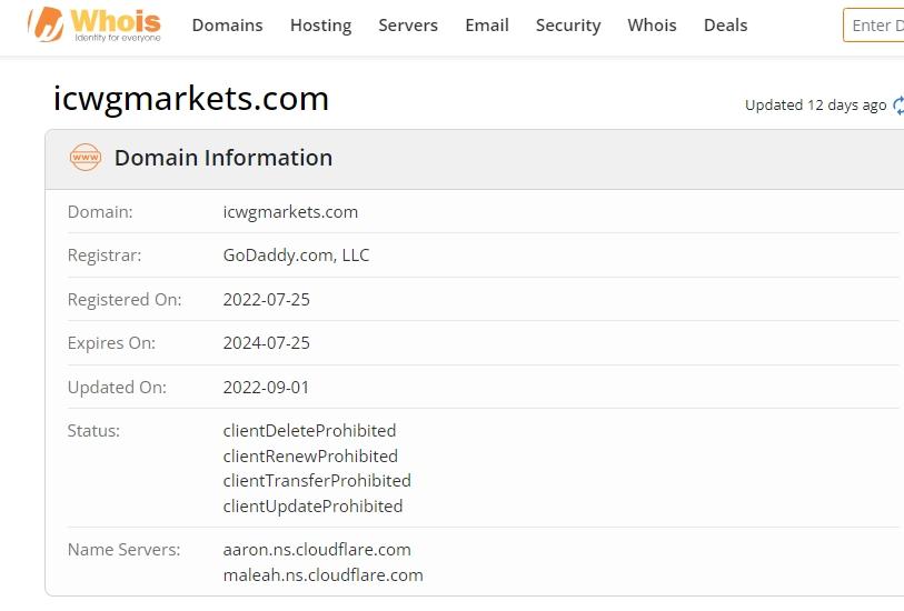 CWG Markets Whois注册