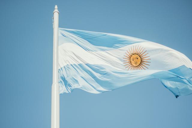 Argentina's reform falters, chief resigns. Can privatization continue?