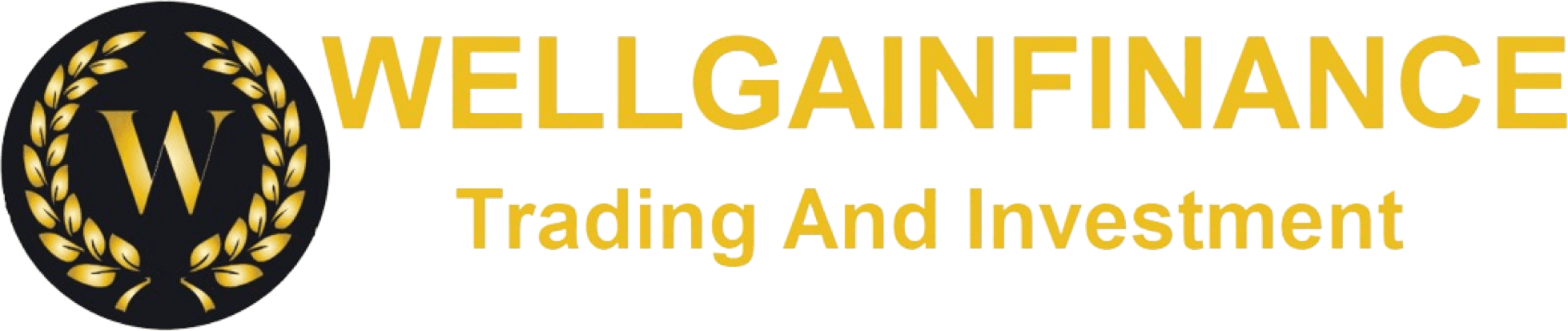 Wellgainfinance.Com