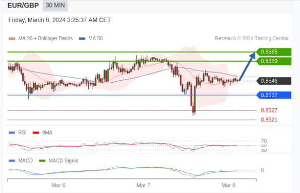 Euro/Pound within the day: There is a potential for an increase, with a target price set at 0.8565.